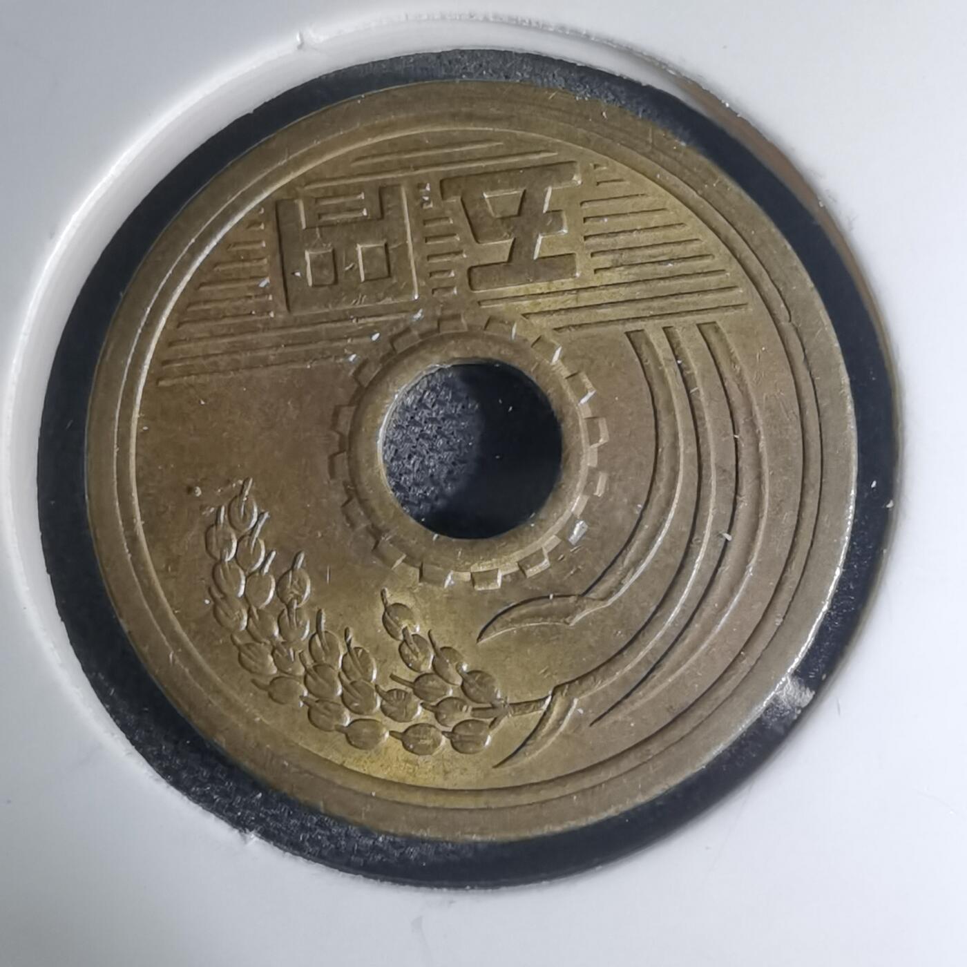 沼泽如烟--第945场