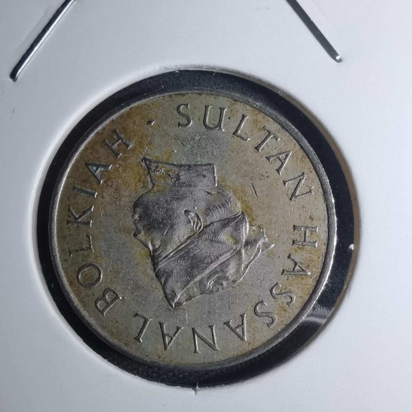 沼泽如烟--第945场