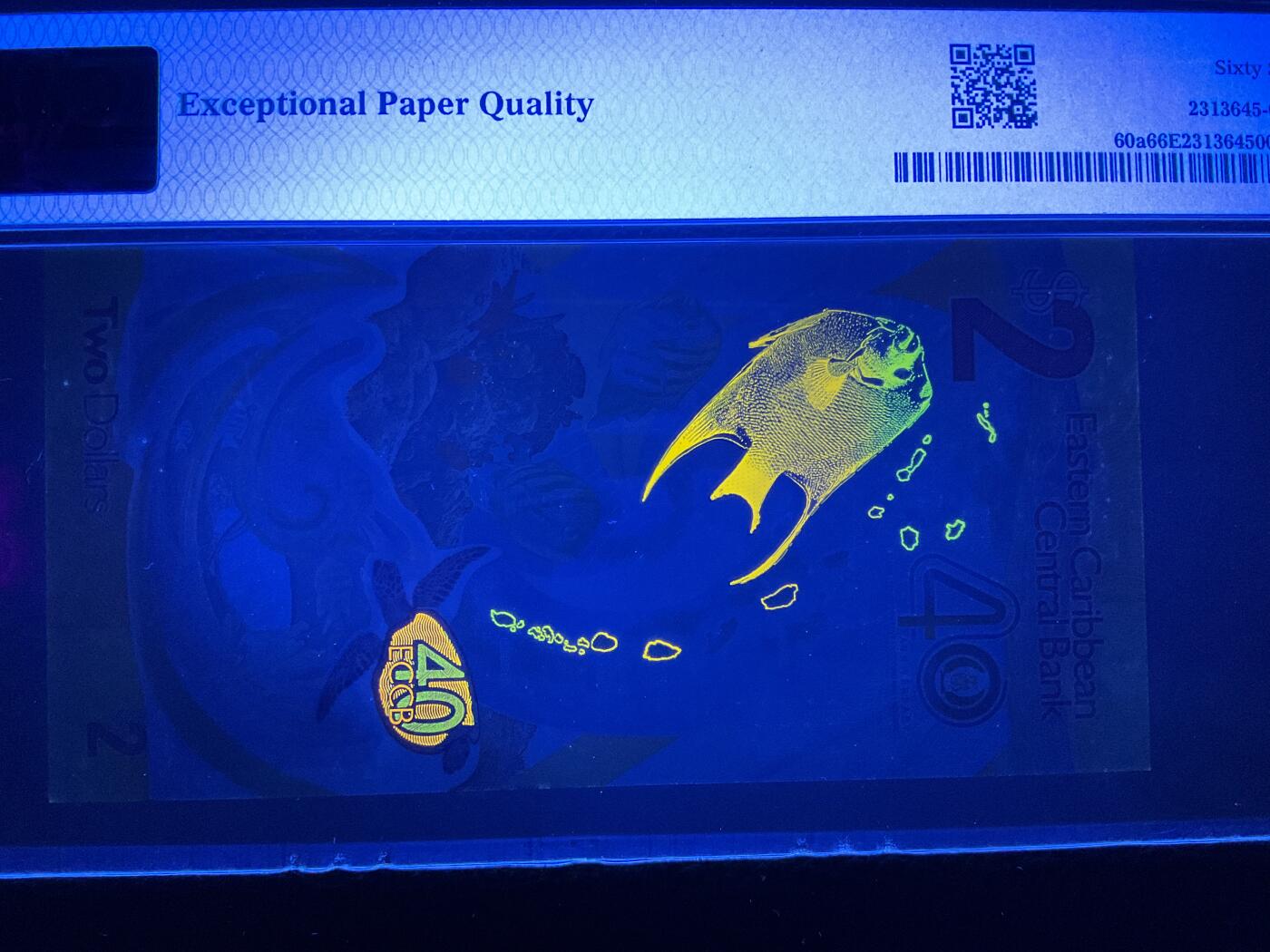 【礼羽收藏】🌏世界钱币拍卖第117期