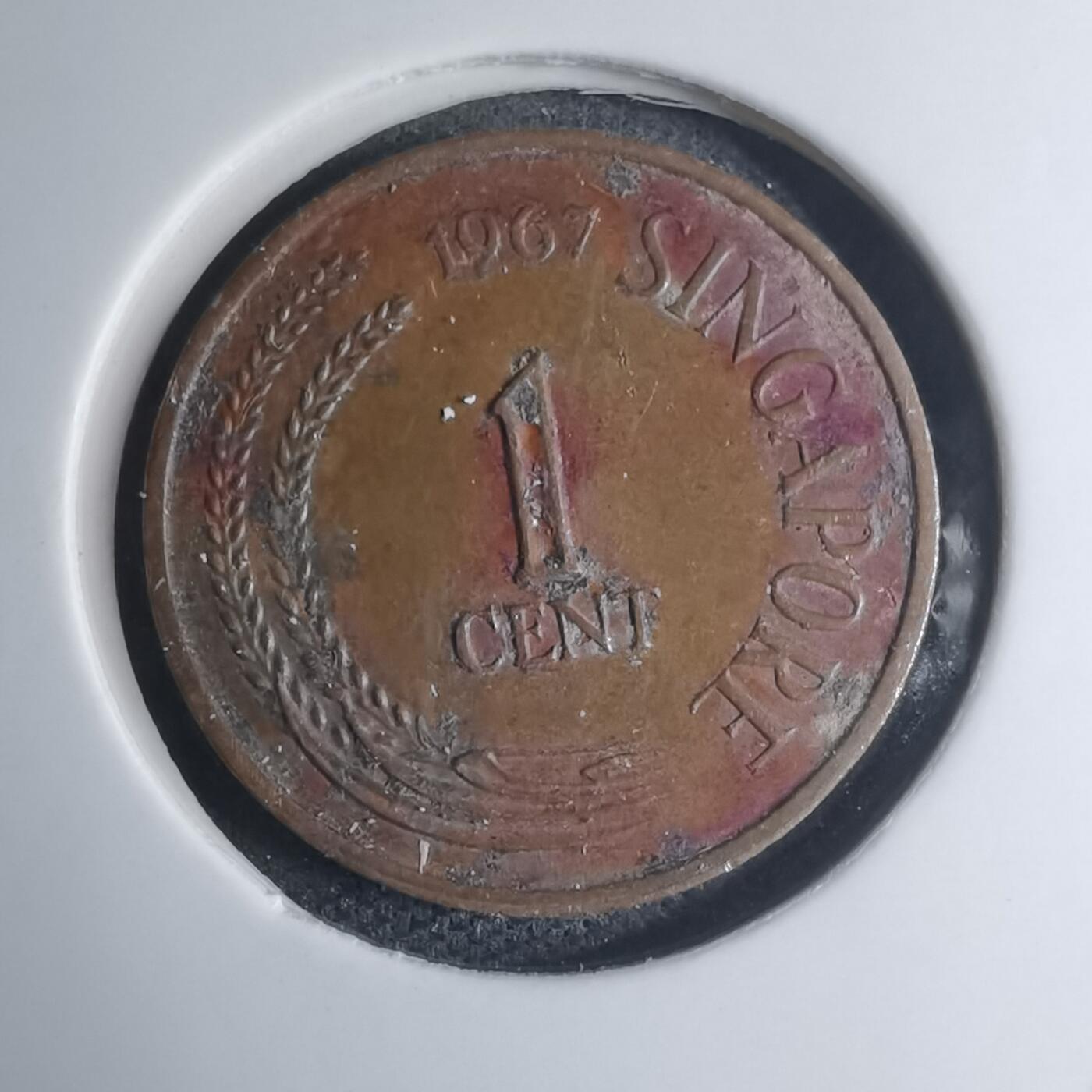 沼泽如烟--第945场