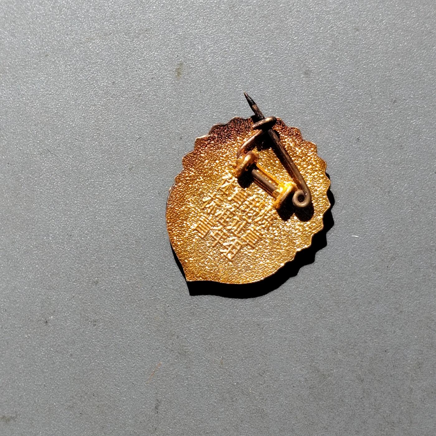 PCAI钱币  24-675  古钱与铜币小专场 小证章