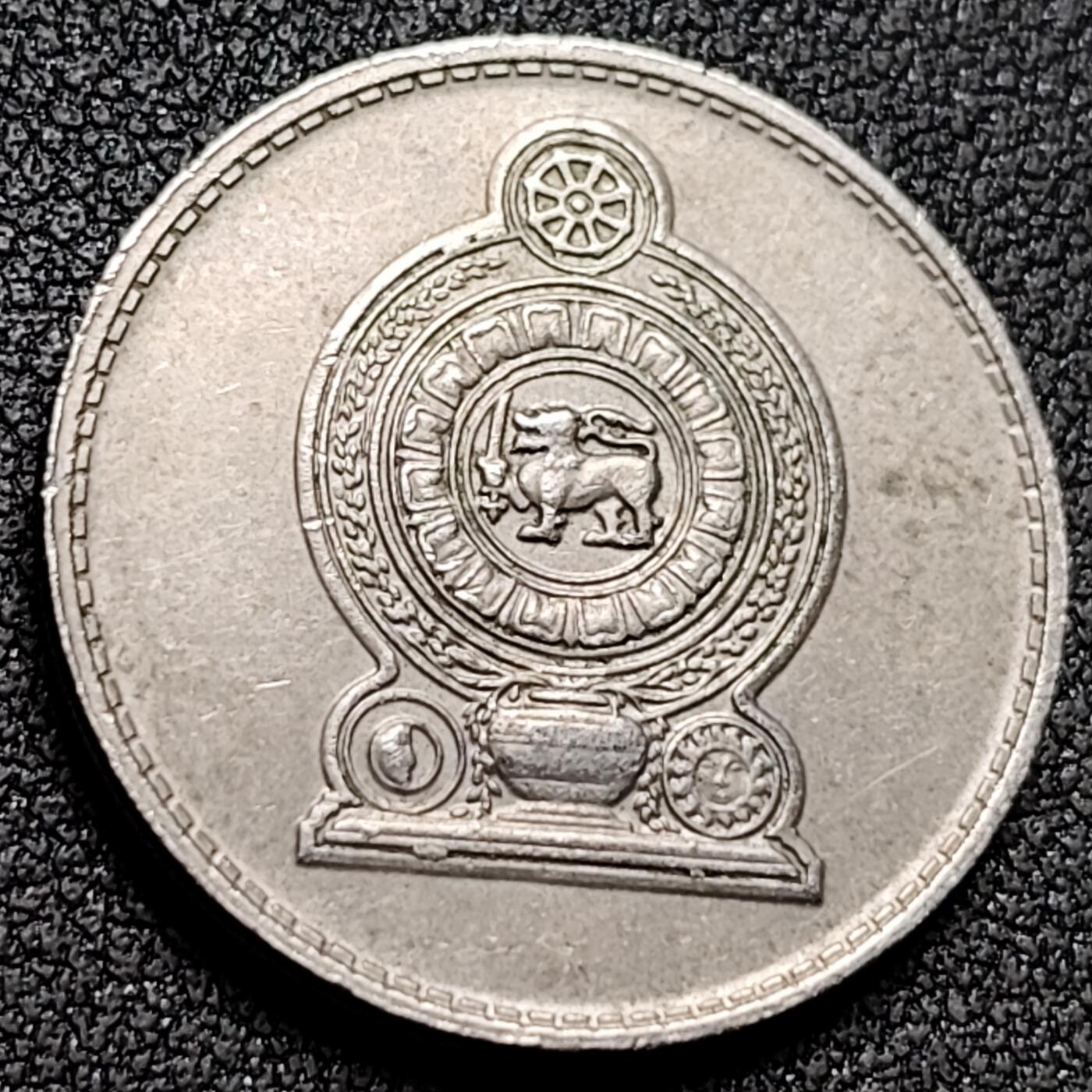 泉币菌-第154场-圣诞节专场 。