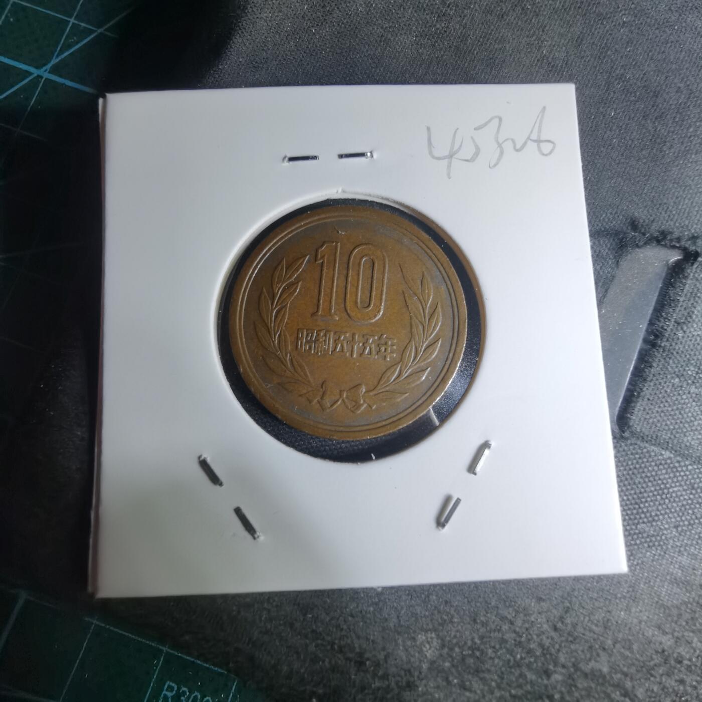 沼泽如烟--第945场