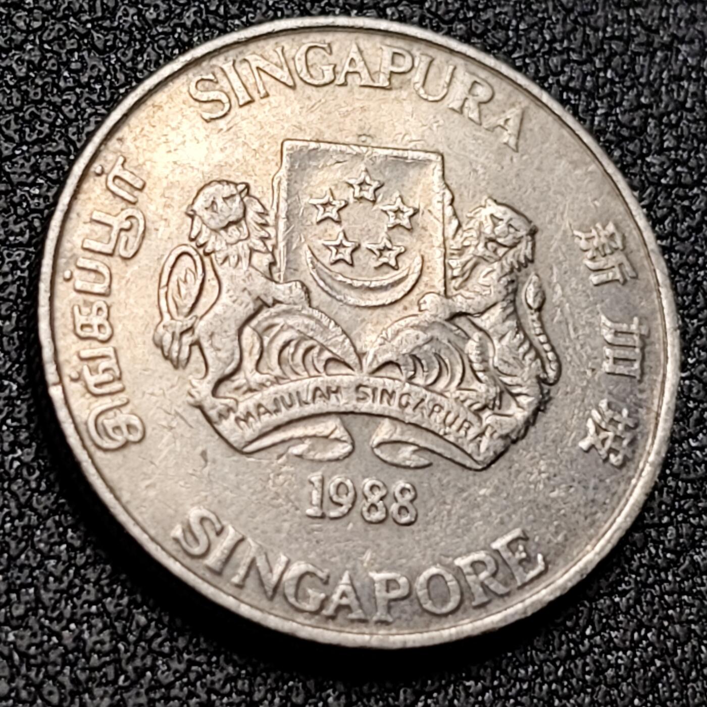 泉币菌-第154场-圣诞节专场 。