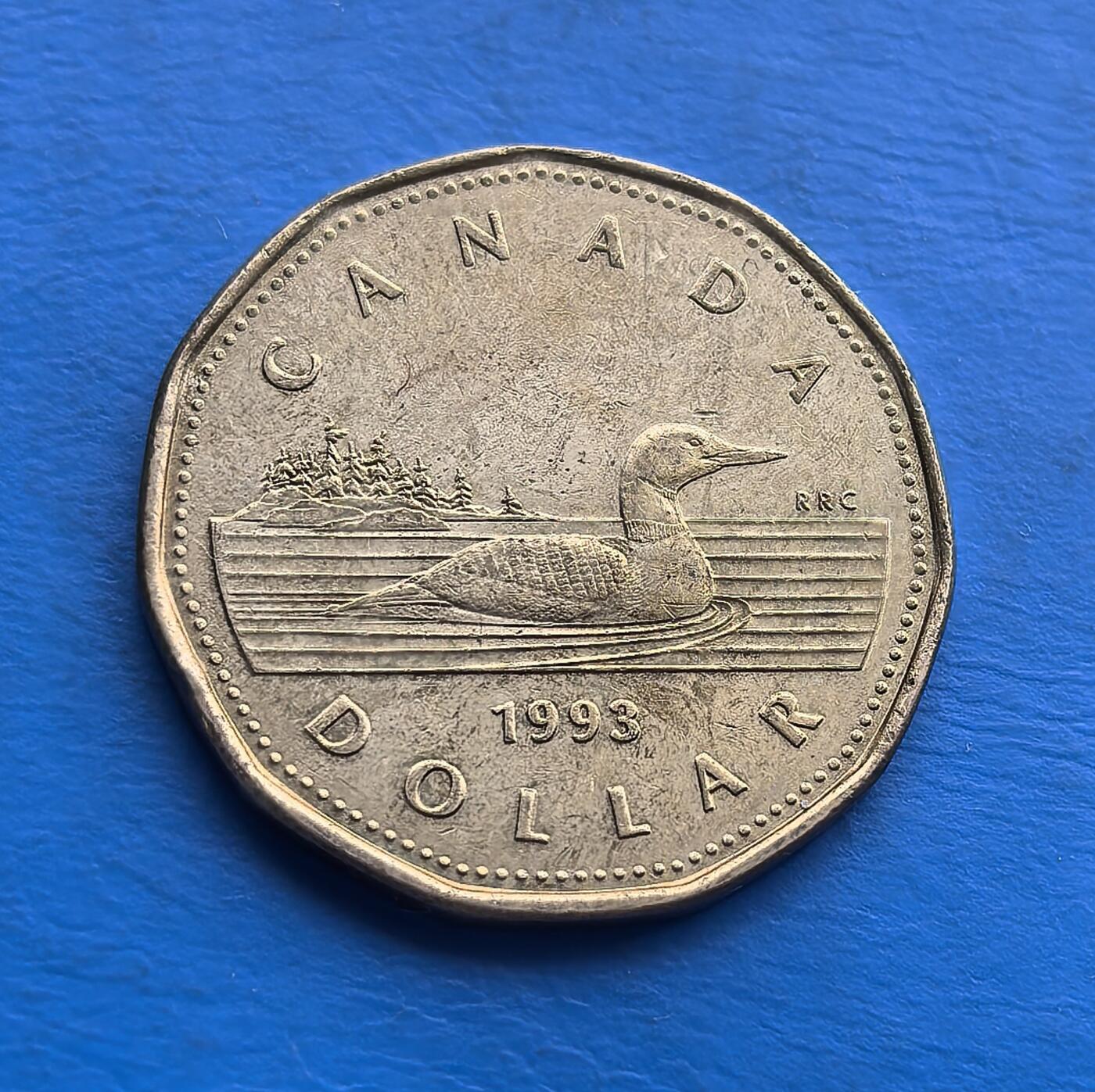 外国优质老铜币高银银币，周六九点倒数截拍，满百包邮，持续收拍 加拿大1993 年壹元潜鸟币，正面是伊丽莎白二世王冠肖像，背面经典潜鸟图案，诠释加拿大自然与君主文化。