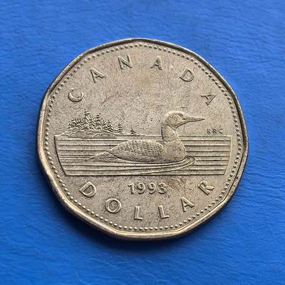 外国优质老铜币高银银币，周六九点倒数截拍，满百包邮，持续收拍 - 加拿大1993 年壹元潜鸟币，正面是伊丽莎白二世王冠肖像，背面经典潜鸟图案，诠释加拿大自然与君主文化。