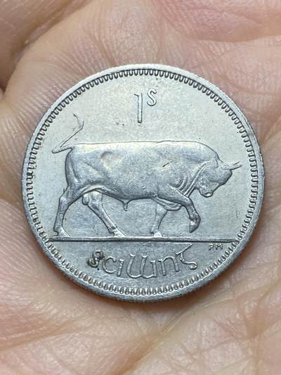 2025年第一百四十场(总第一百六十六场）外国好品散币场(免佣金) - 爱尔兰🇮🇪1964年1先令(共和国时期第一套第二版)