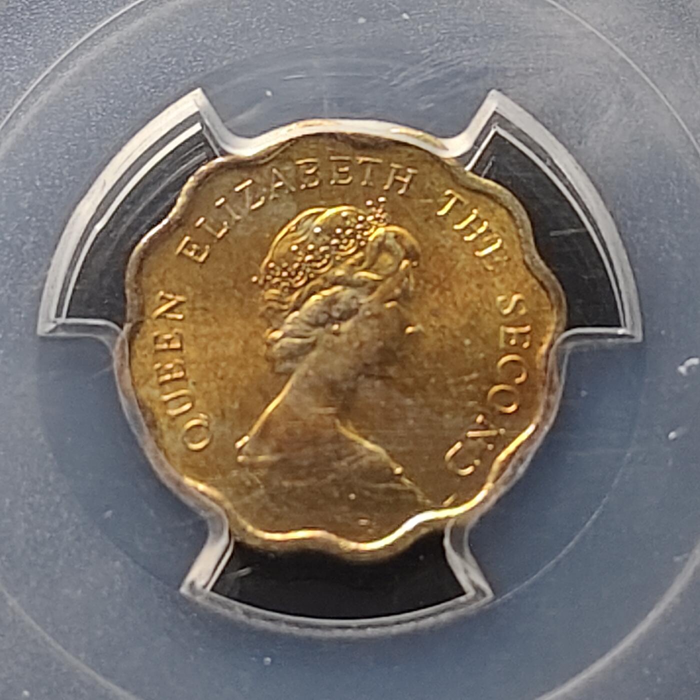 【全场包邮】纯粹捡漏拍489场（免费代拍第26场）