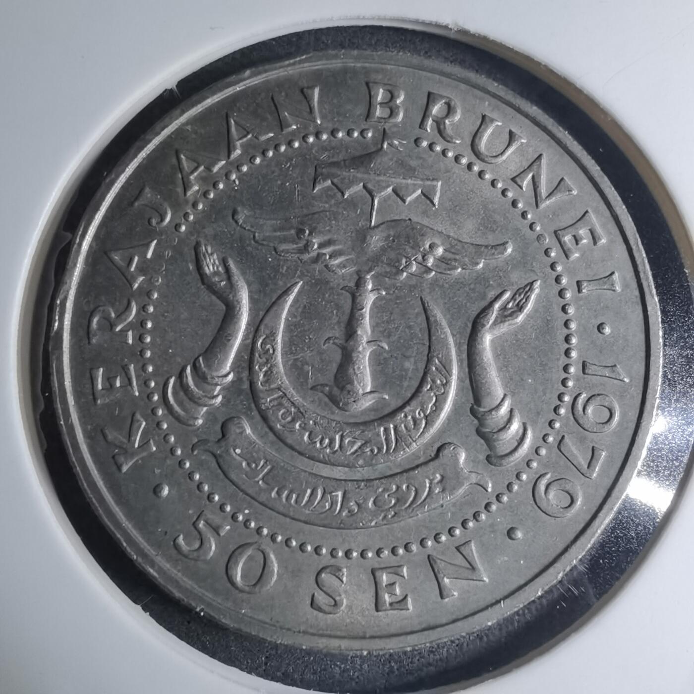 沼泽如烟--第945场