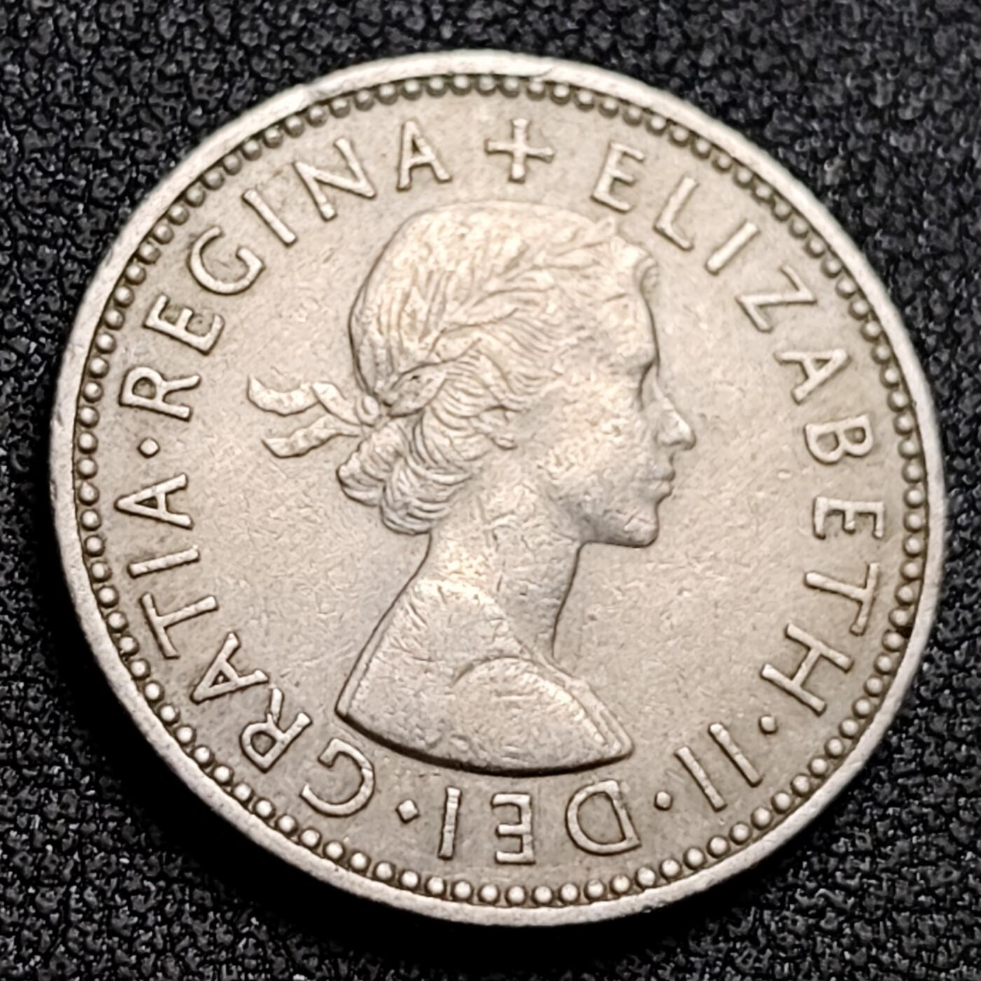 泉币菌-第154场-圣诞节专场 。