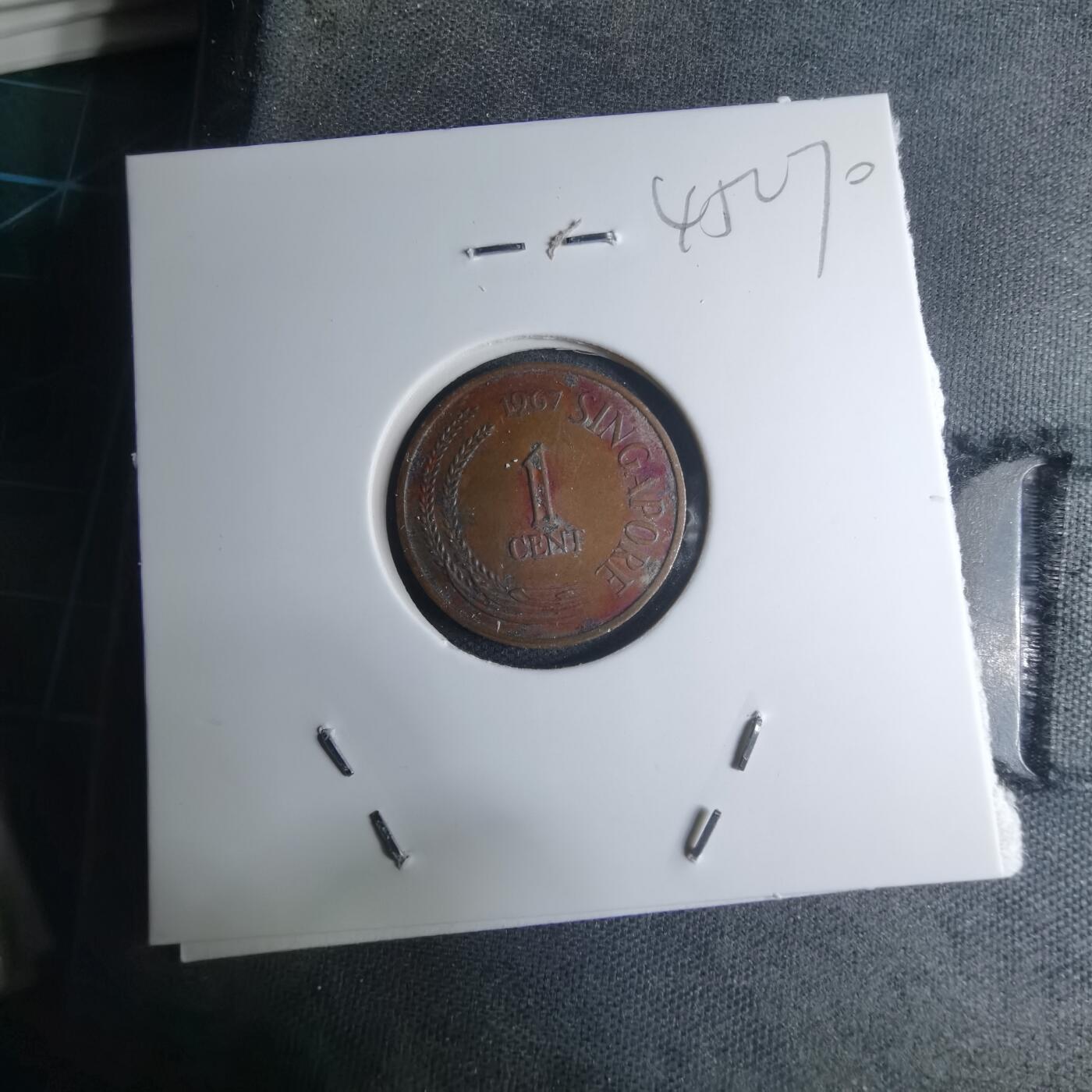 沼泽如烟--第945场