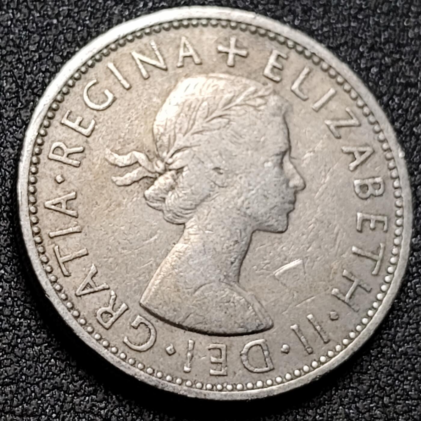 泉币菌-第154场-圣诞节专场 。