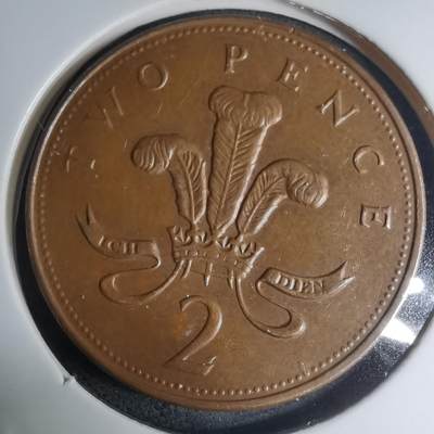 沼泽如烟--第945场 - 英国1990年2便士