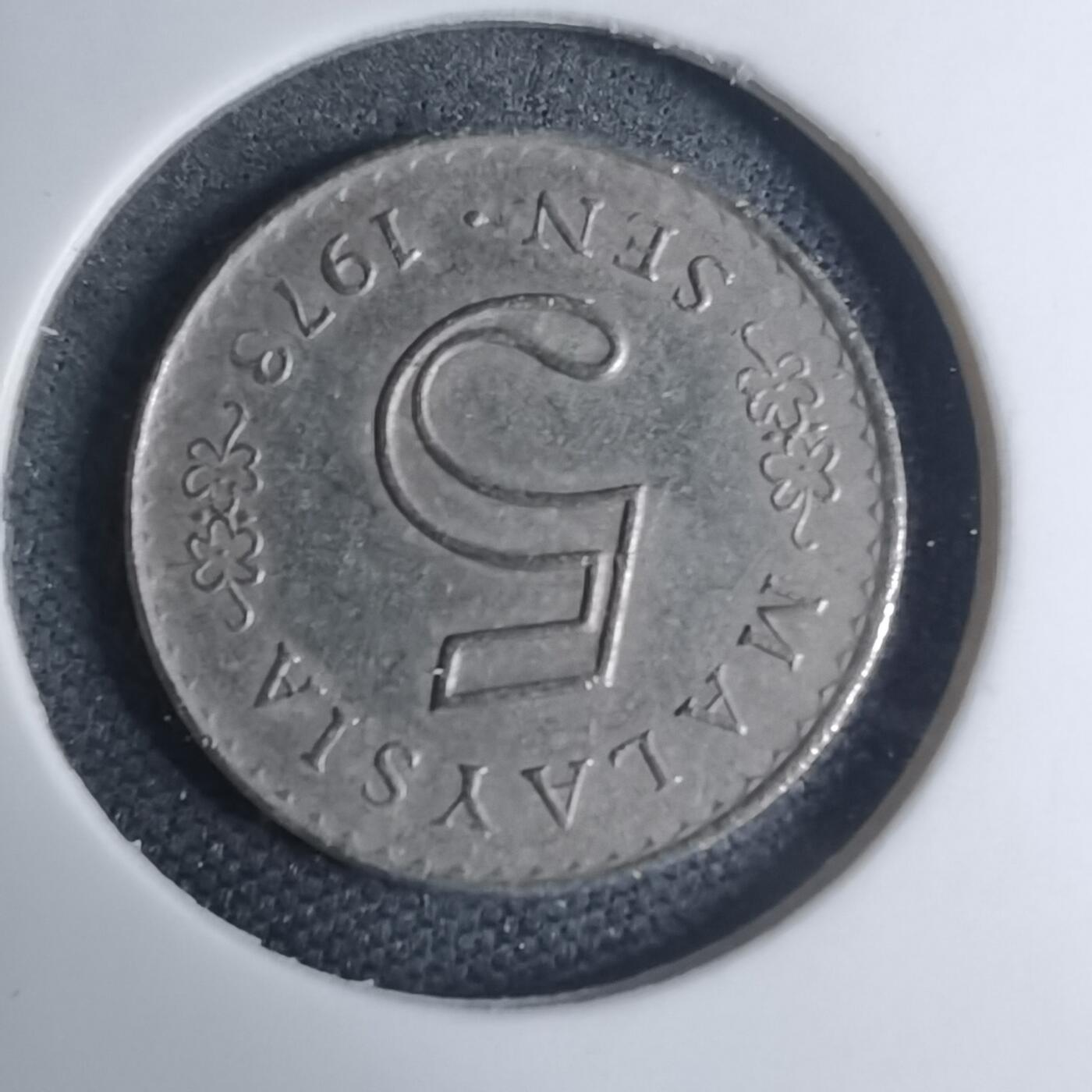 沼泽如烟--第945场