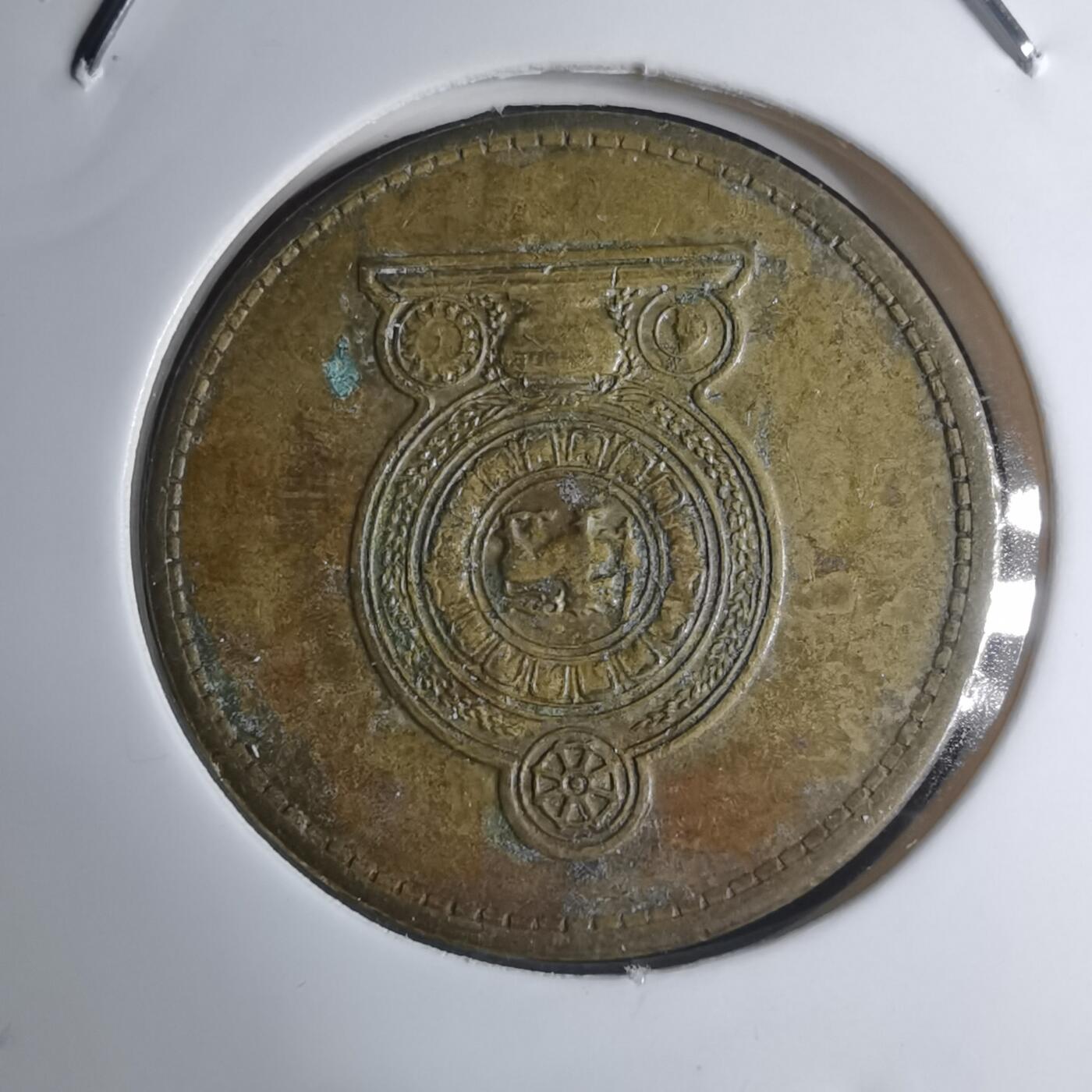 沼泽如烟--第945场