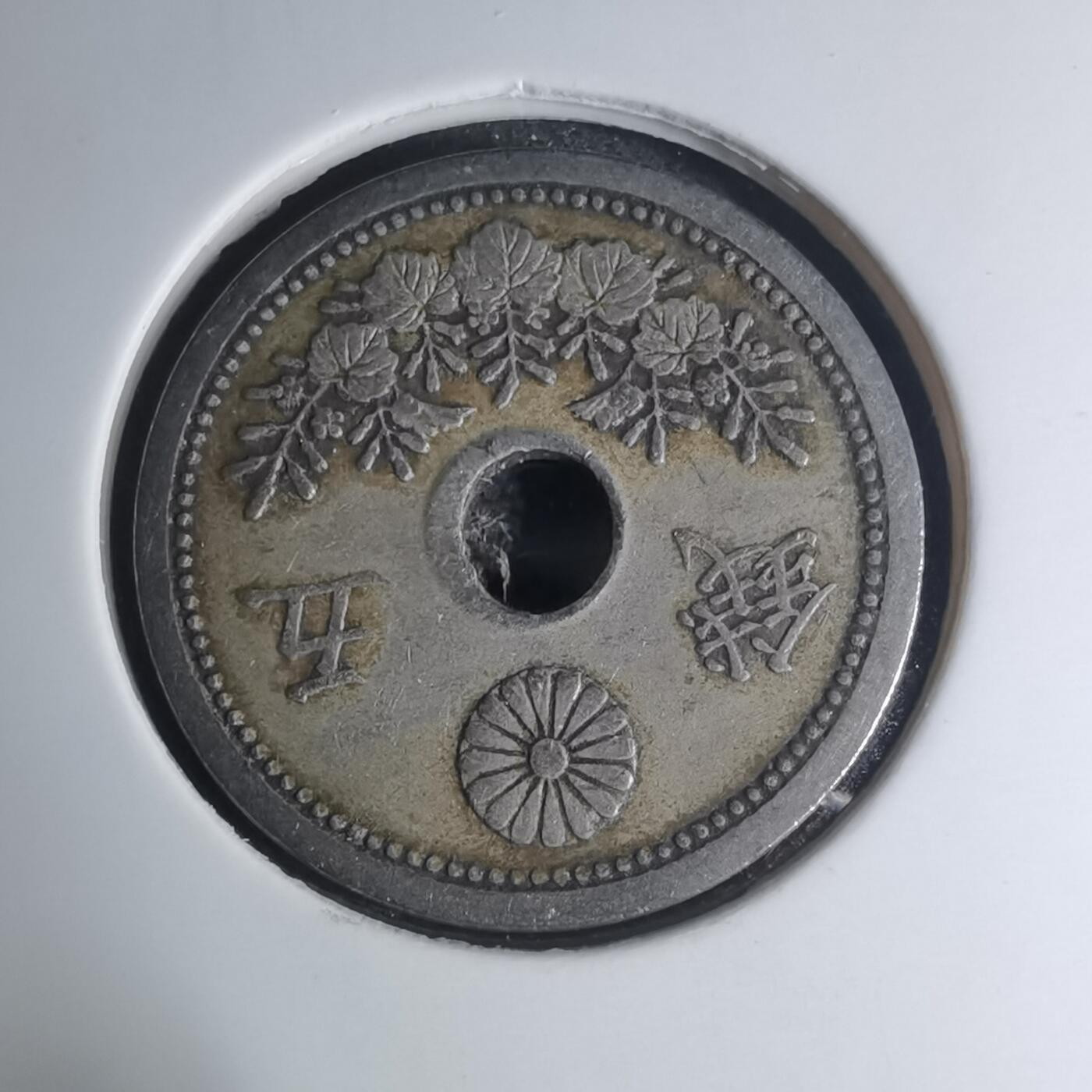 沼泽如烟--第945场