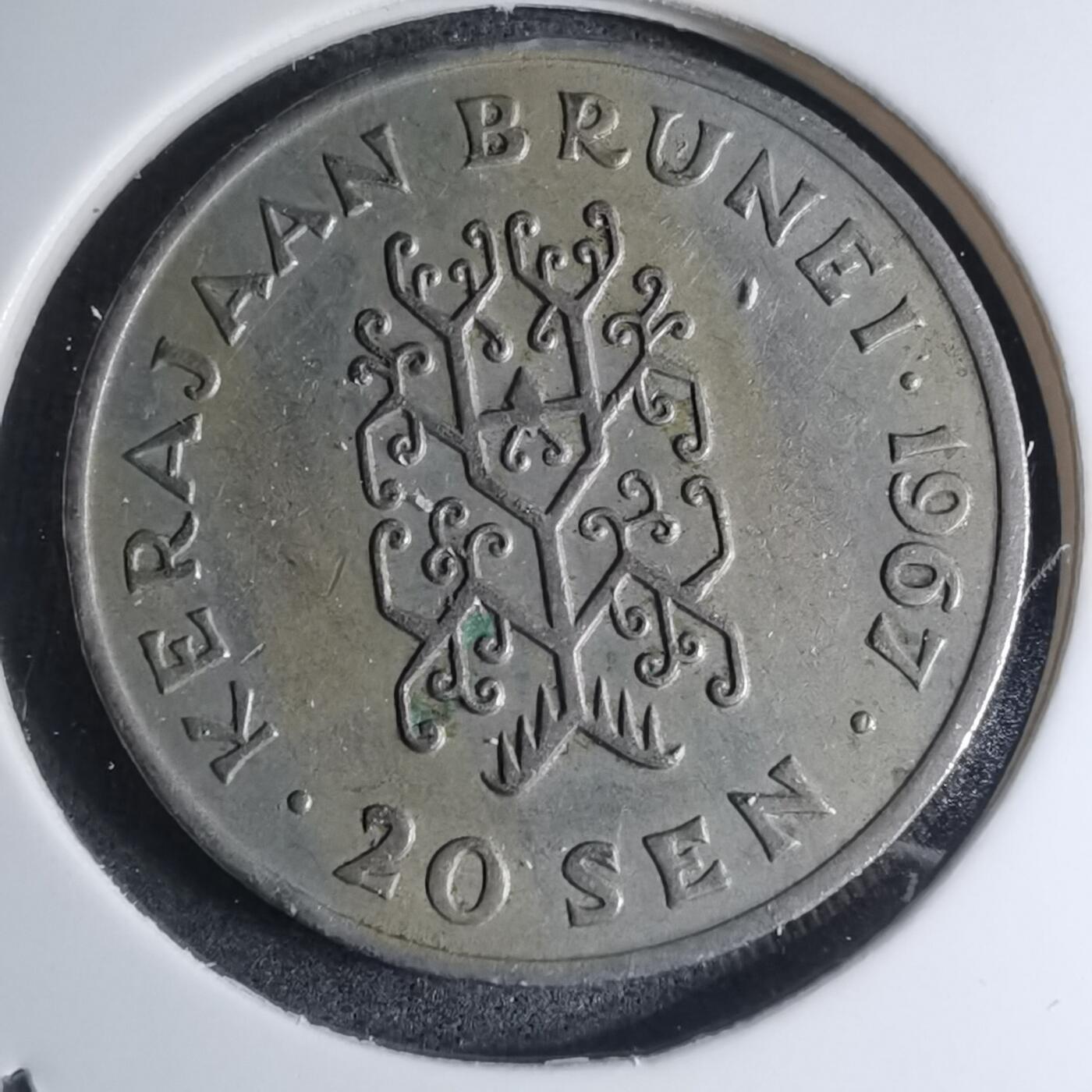 沼泽如烟--第945场