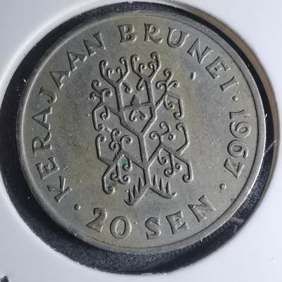 沼泽如烟--第945场 - 文莱1967年20分