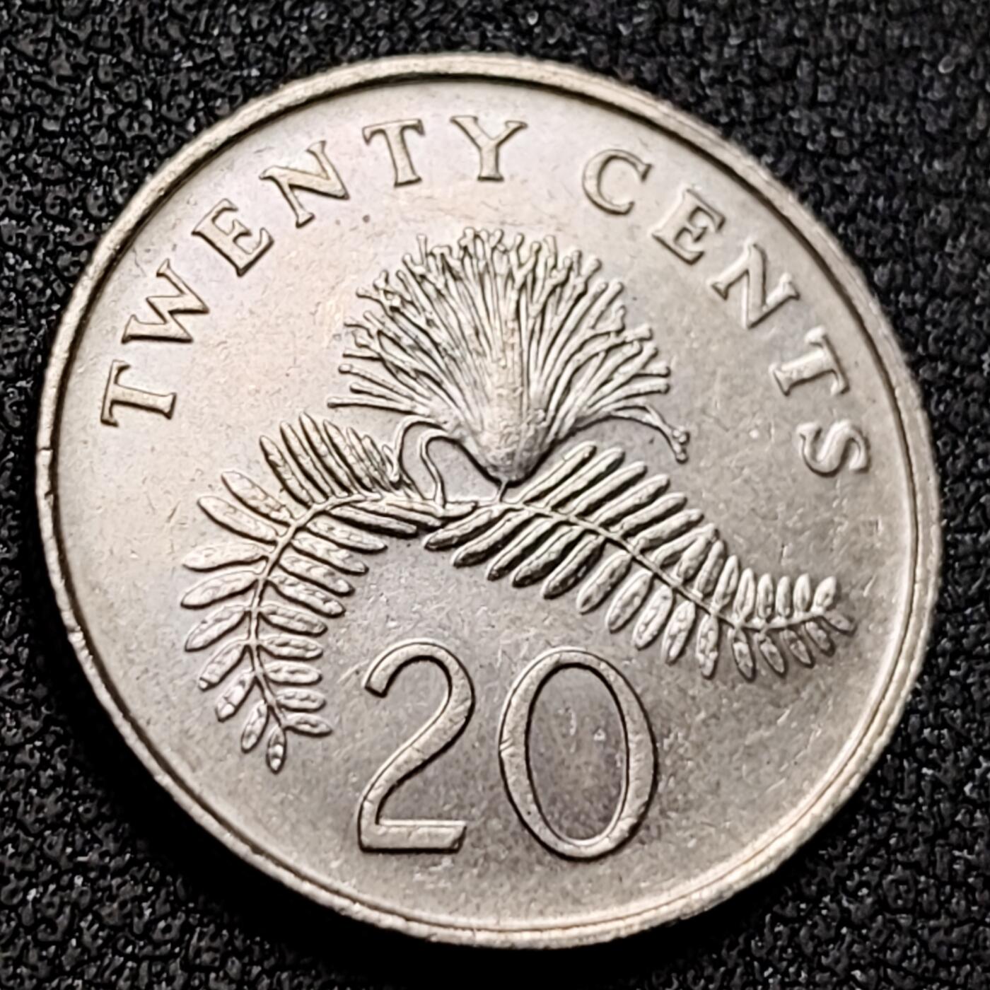 泉币菌-第154场-圣诞节专场 。