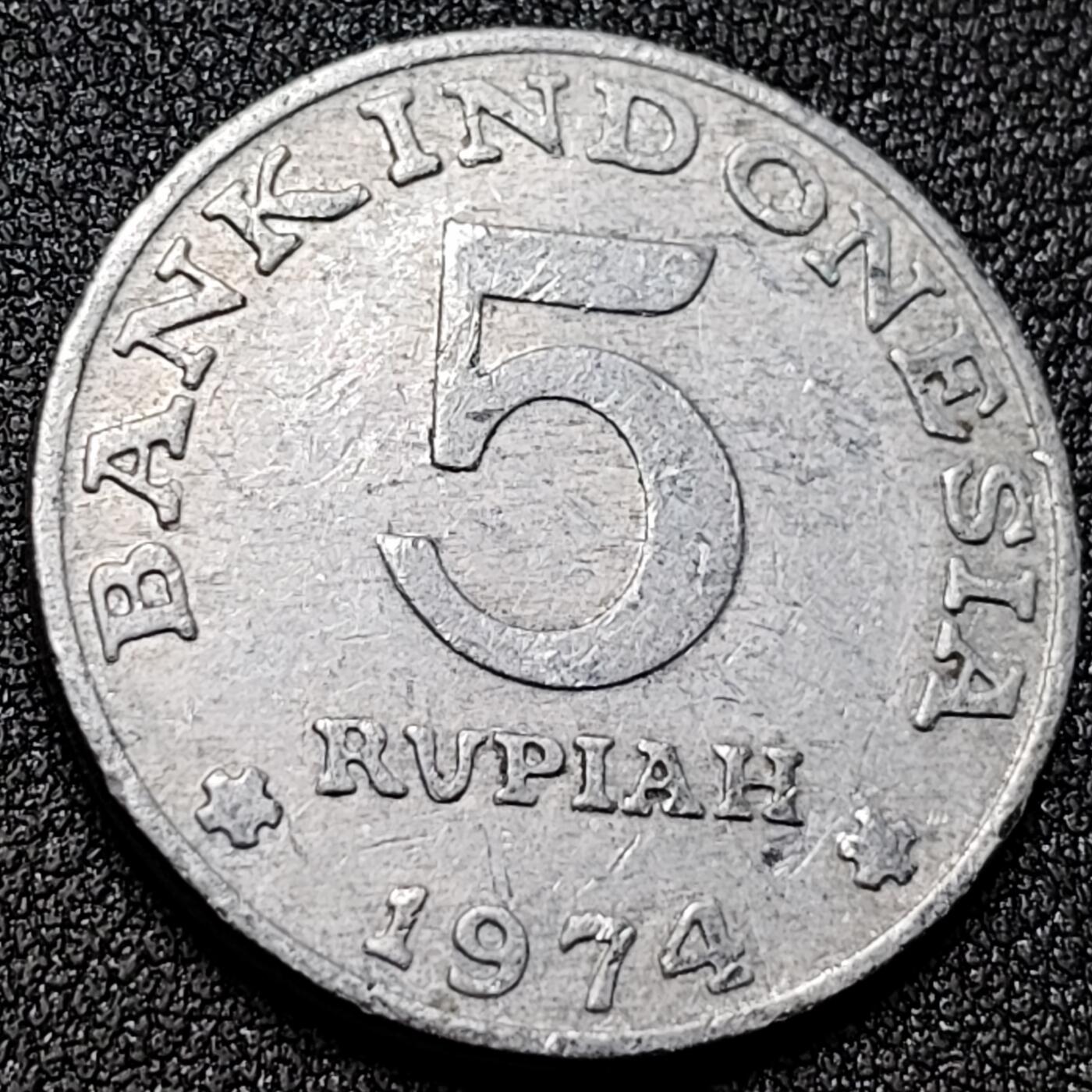 泉币菌-第154场-圣诞节专场 。