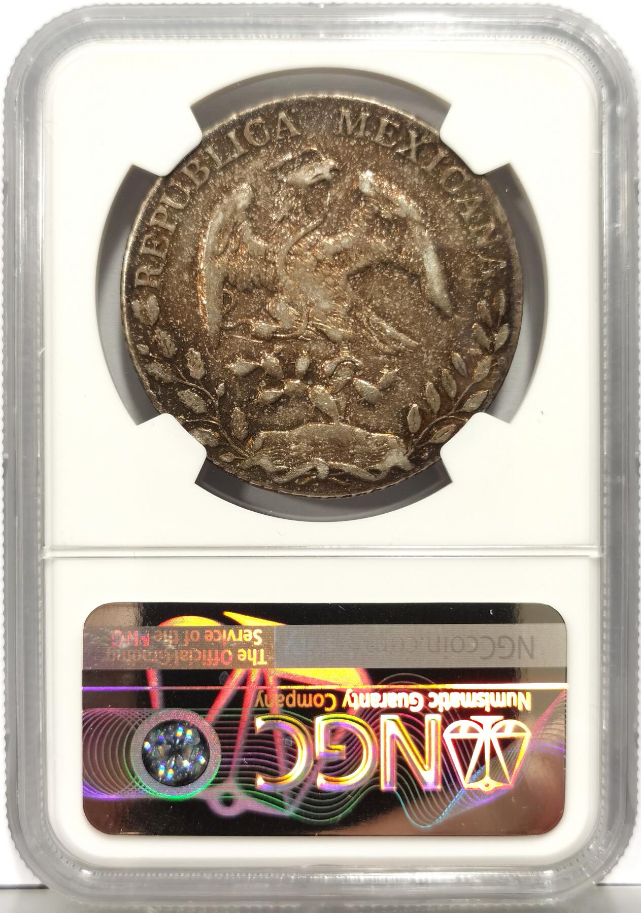 博洋堂世界钱币拍卖第154期（全场包邮）