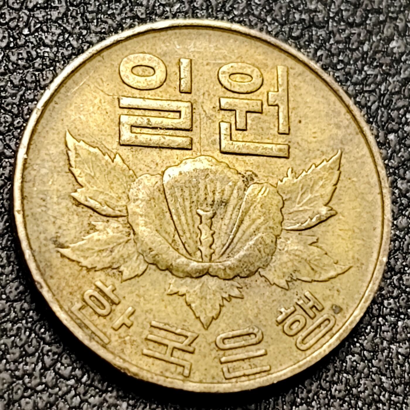 泉币菌-第154场-圣诞节专场 。