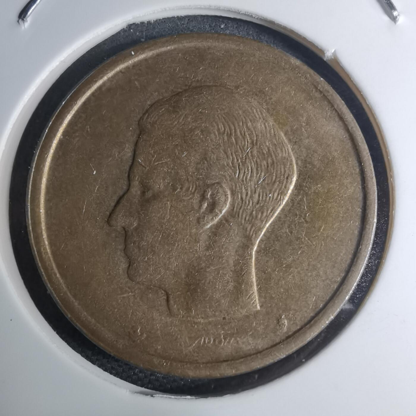 沼泽如烟--第945场