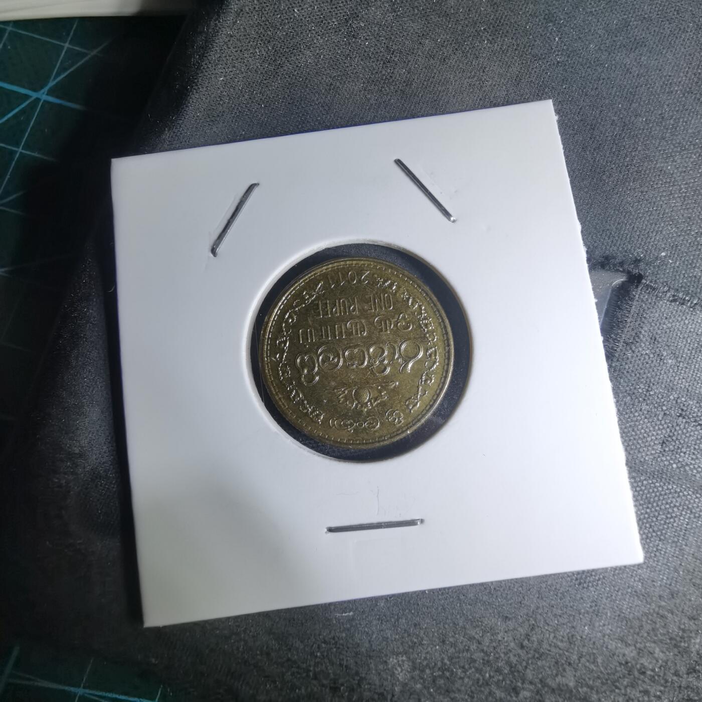 沼泽如烟--第945场