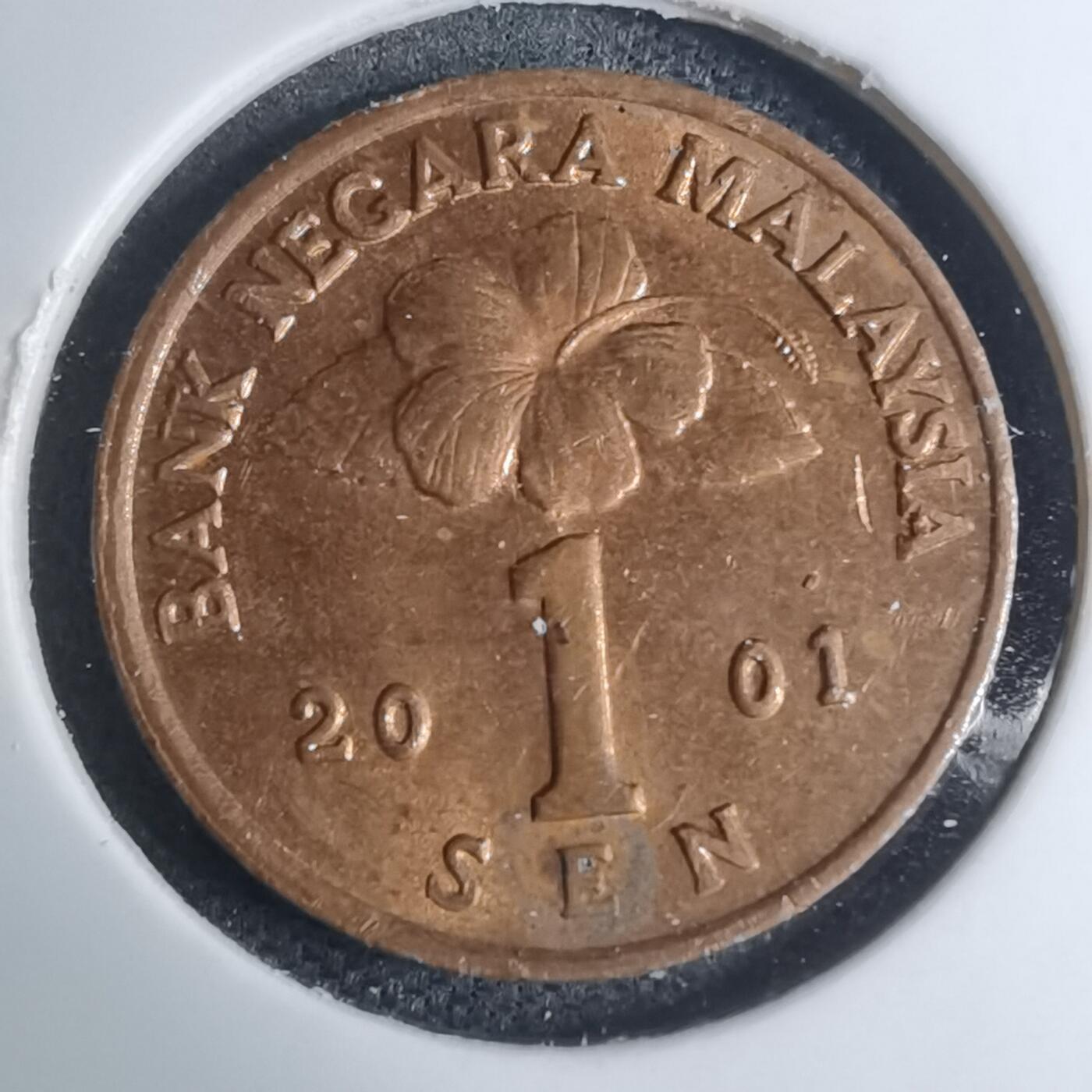 沼泽如烟--第945场