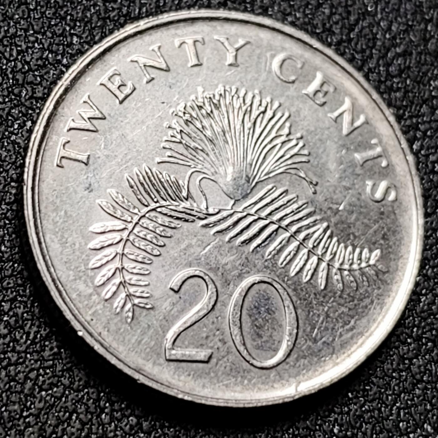 泉币菌-第154场-圣诞节专场 。