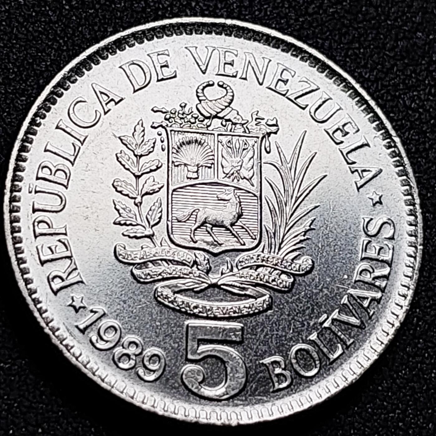 泉币菌-第155场-精品福利场 。