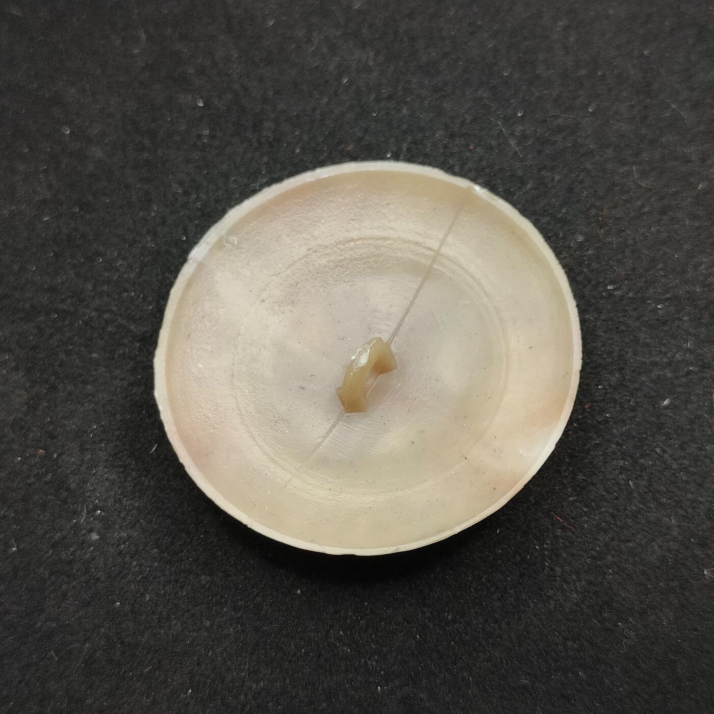 0元起拍勋章 第321期 咸鱼国勋章拍卖专场 12月28日（周日）下午6：00开始