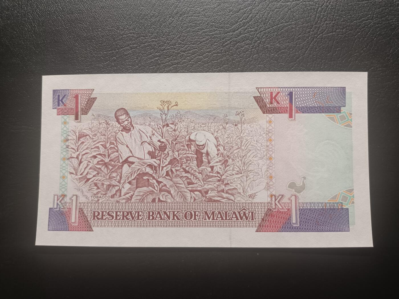 2025十二月第五期，总210期 马拉维1992年1克瓦查UNC，少见年份，首任总统班达和黑鬼摘烟草