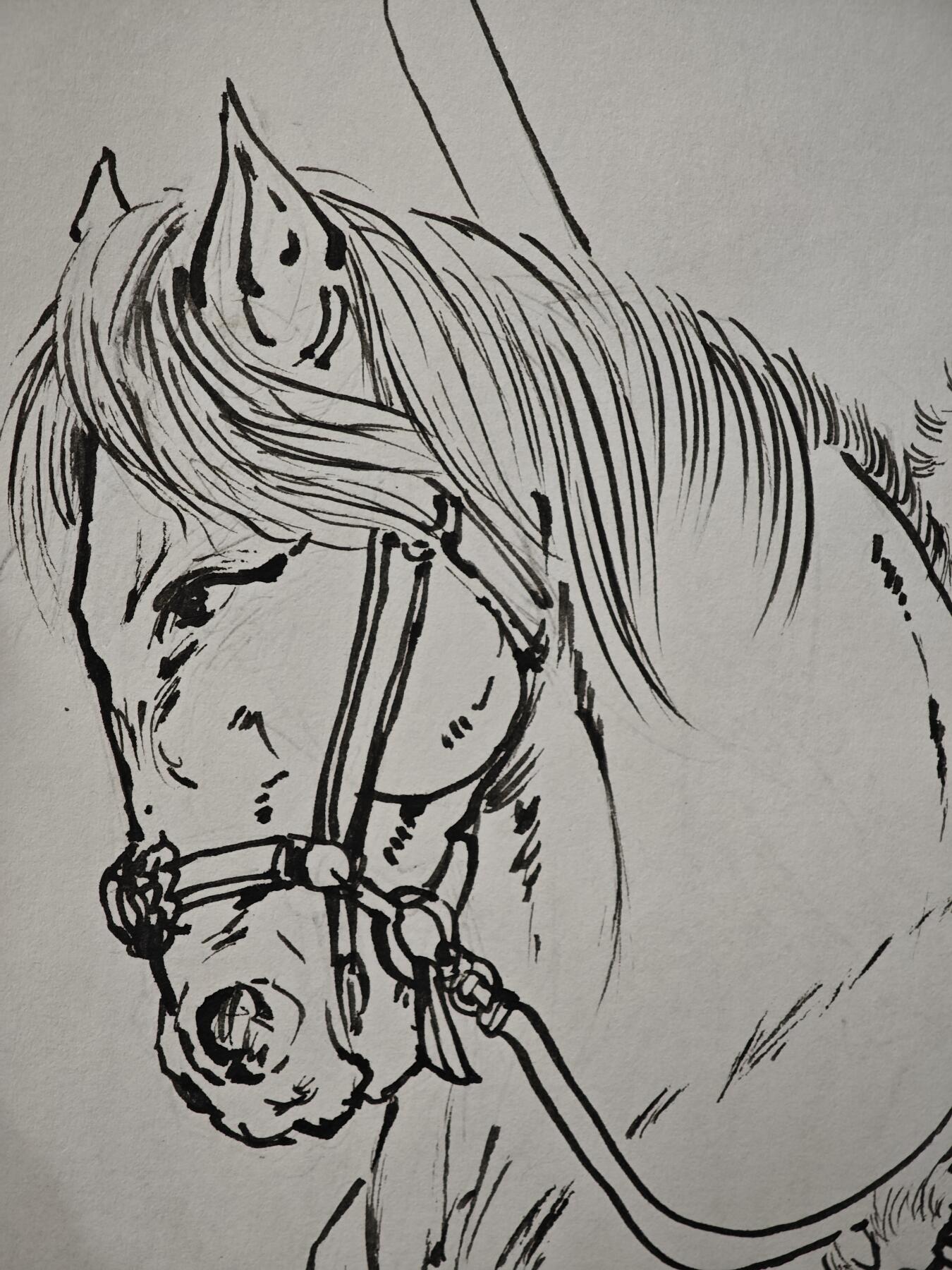 白泽拍卖卡牌手绘专场第30期（白金之夜 跨年大拍）