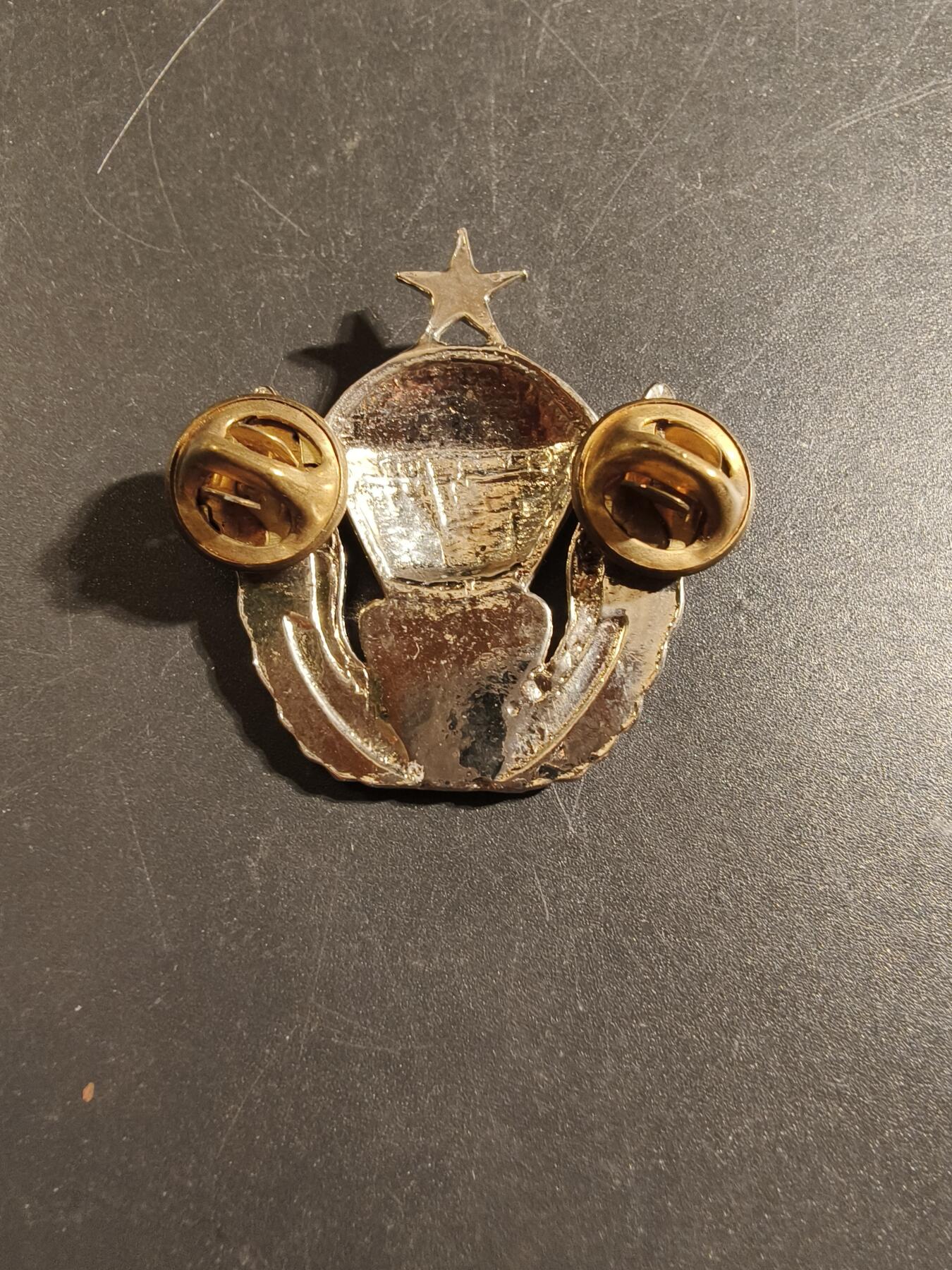 老王徽章第172期 美国第82空降师伞降证章   中级