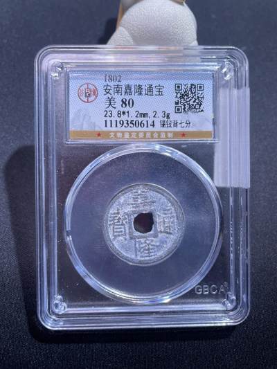 捡漏专场 - 安南嘉隆通宝