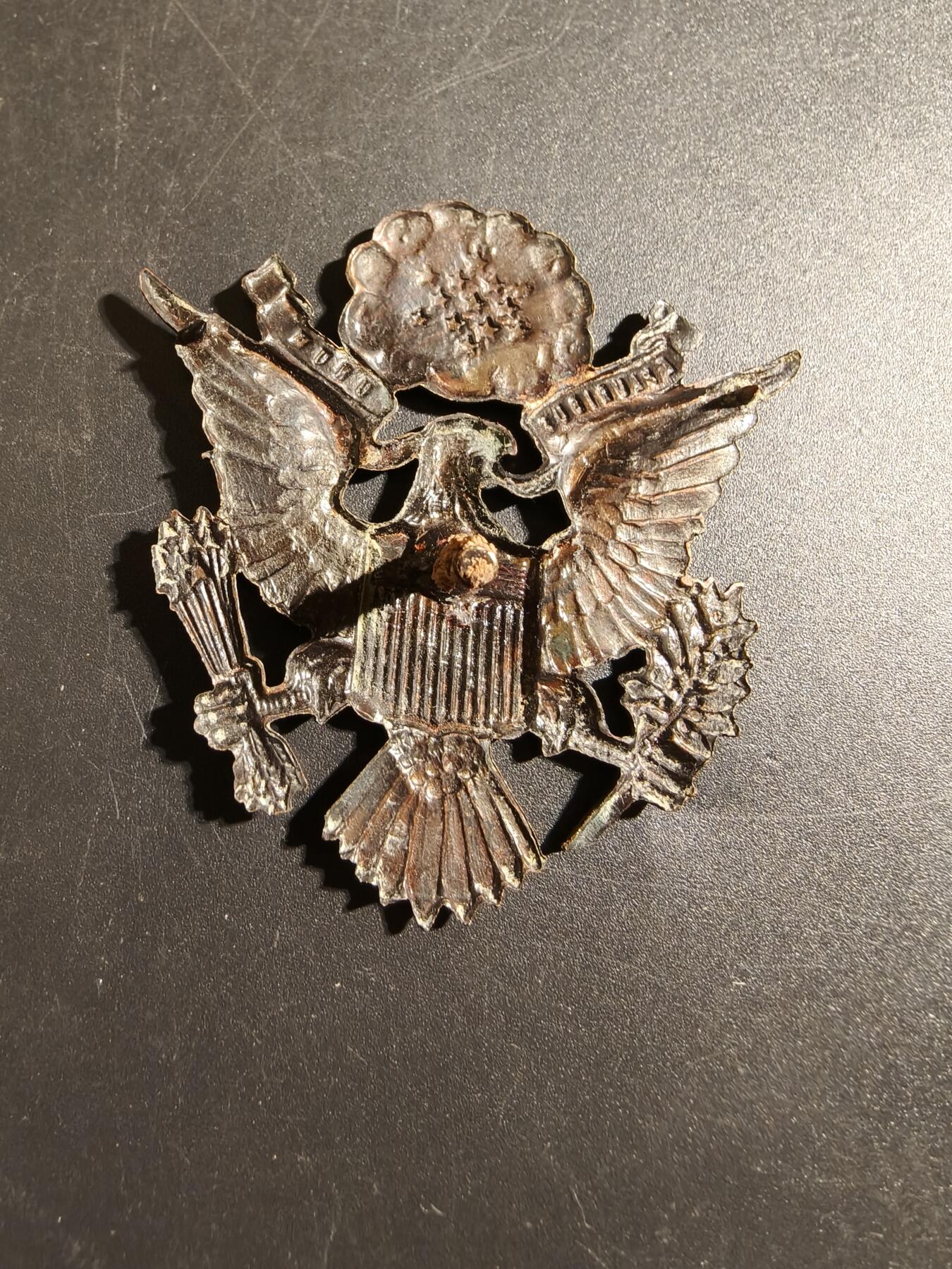 老王徽章第172期 美国空军大檐帽帽徽