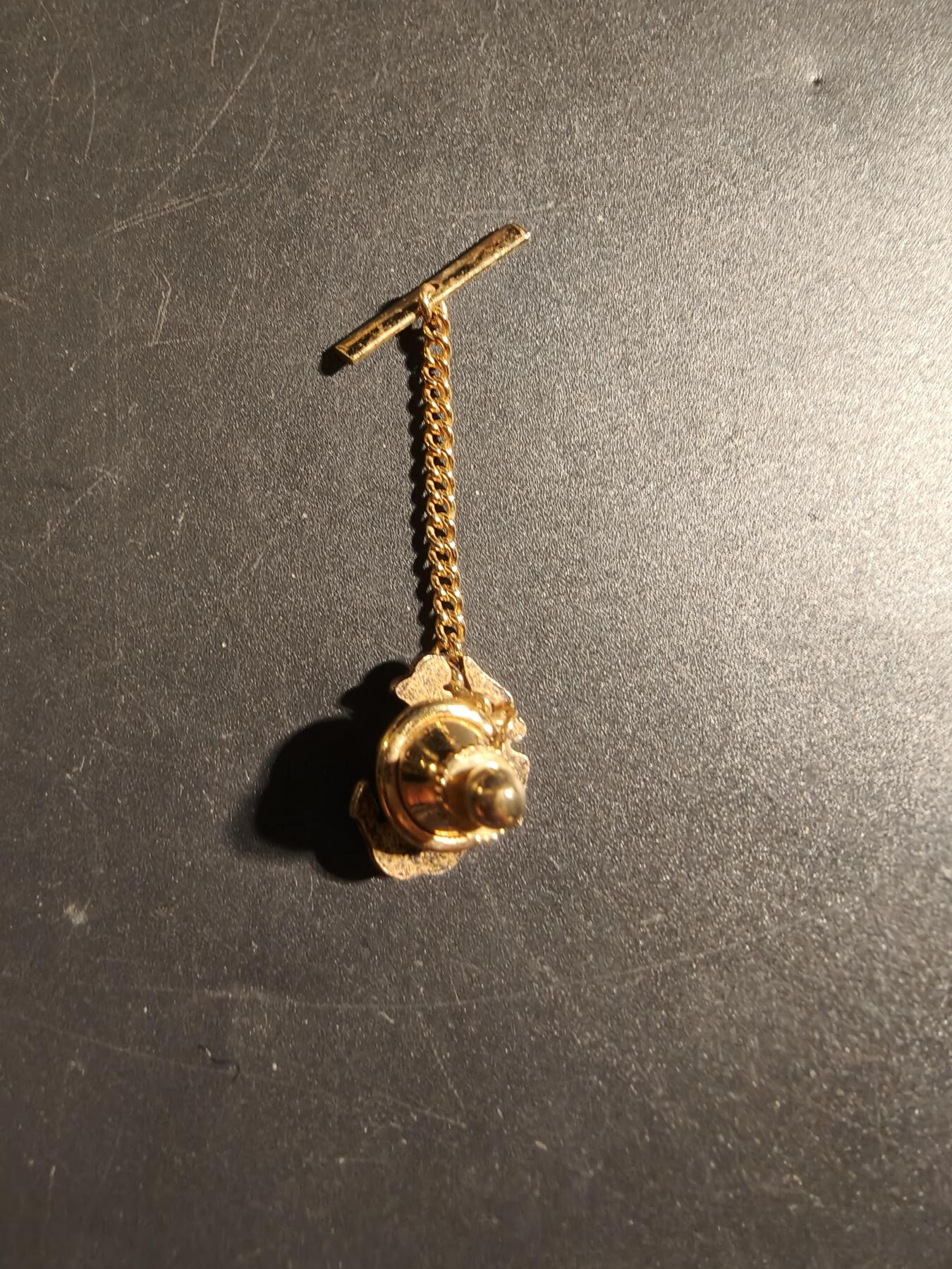 老王徽章第172期 美国海军陆战队链章