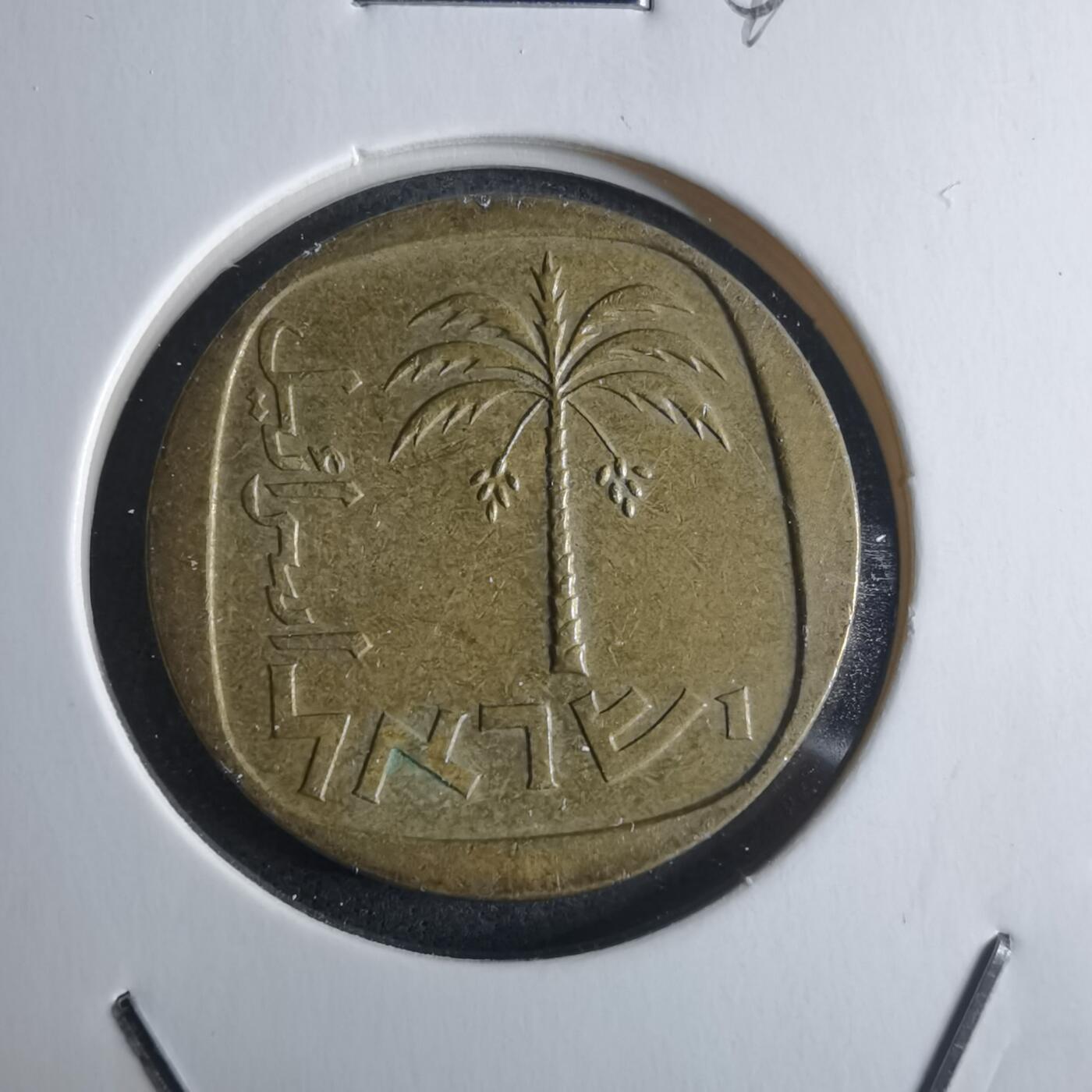 沼泽如烟--第946场