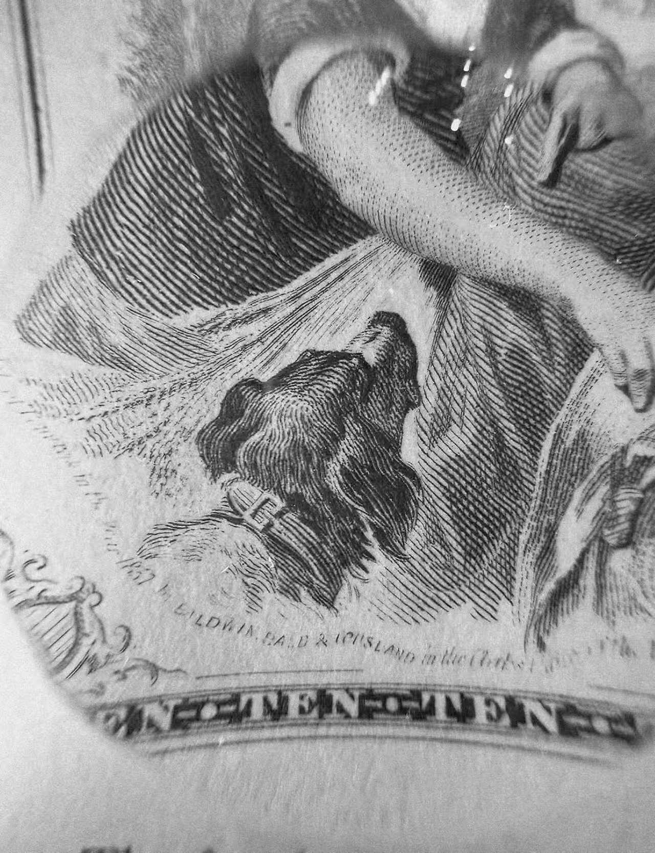 《外钞收藏家》第五百九十七期（年底收官场）（本平台长期征集拍品、欢迎藏友们联系合作） 1979年 美国钞票公司(ABNC)印制 10美元雕刻版票样纪念卡 原版纸币1857-1879年间由美国密苏里州圣路易斯交易银行(Exchange Bank of St. Louis, Missouri)发行流通 该雕刻版票样纪念卡为百年原钞凹版母版印制(非普通平面印刷)并以极小规模限量发行 背面为美钞公司总裁认证签名 乃高价原版老美钞收藏欣赏之平替