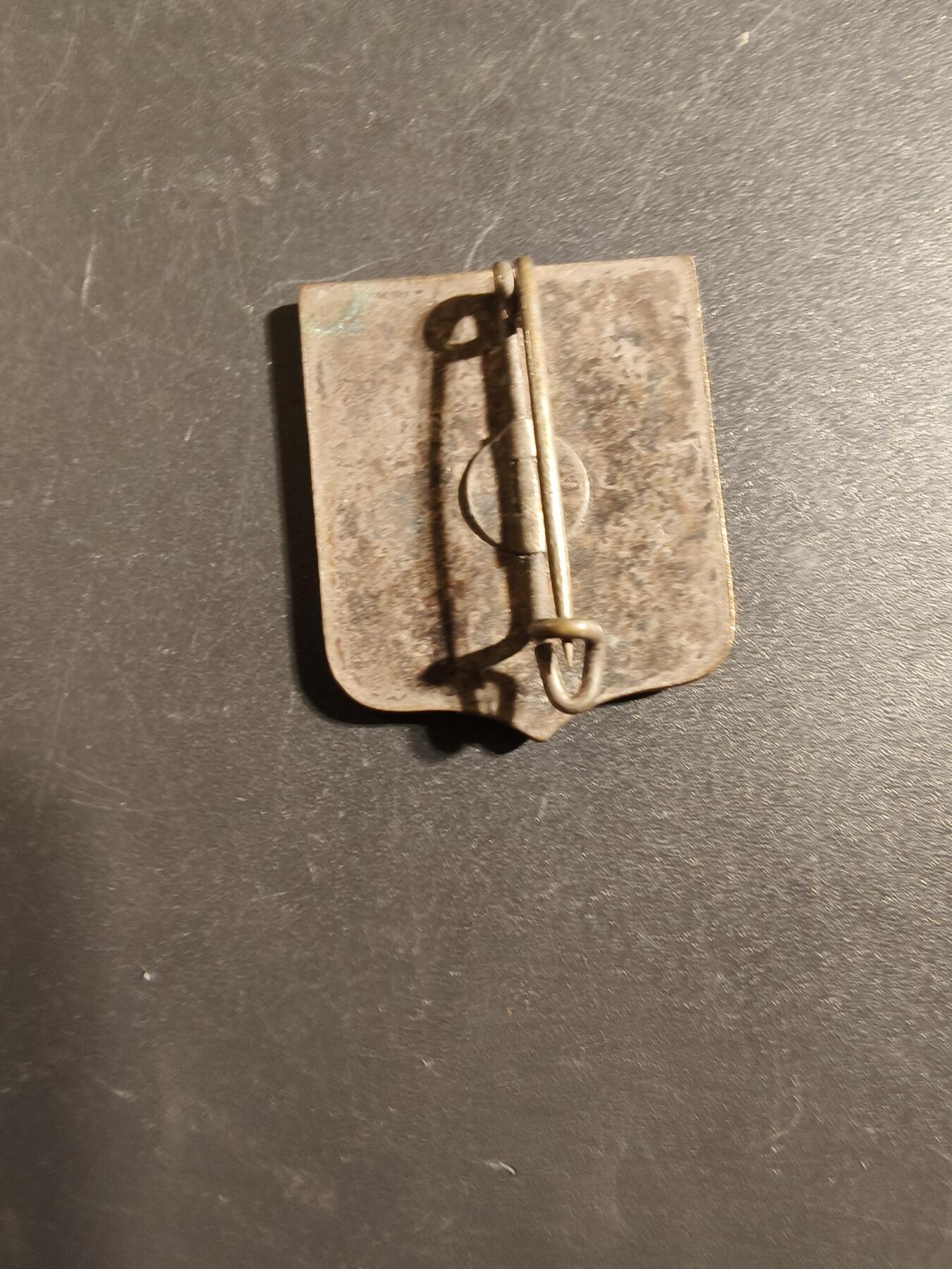 老王徽章第172期