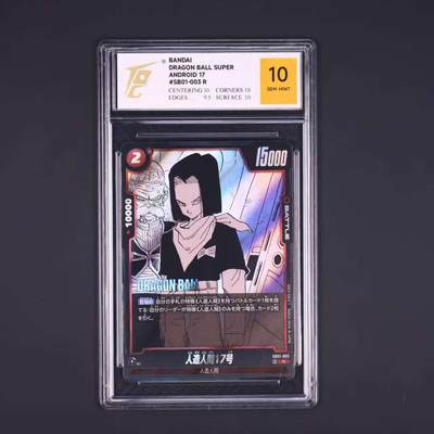 七龙珠 - 人造人間17号 SB01-003 R