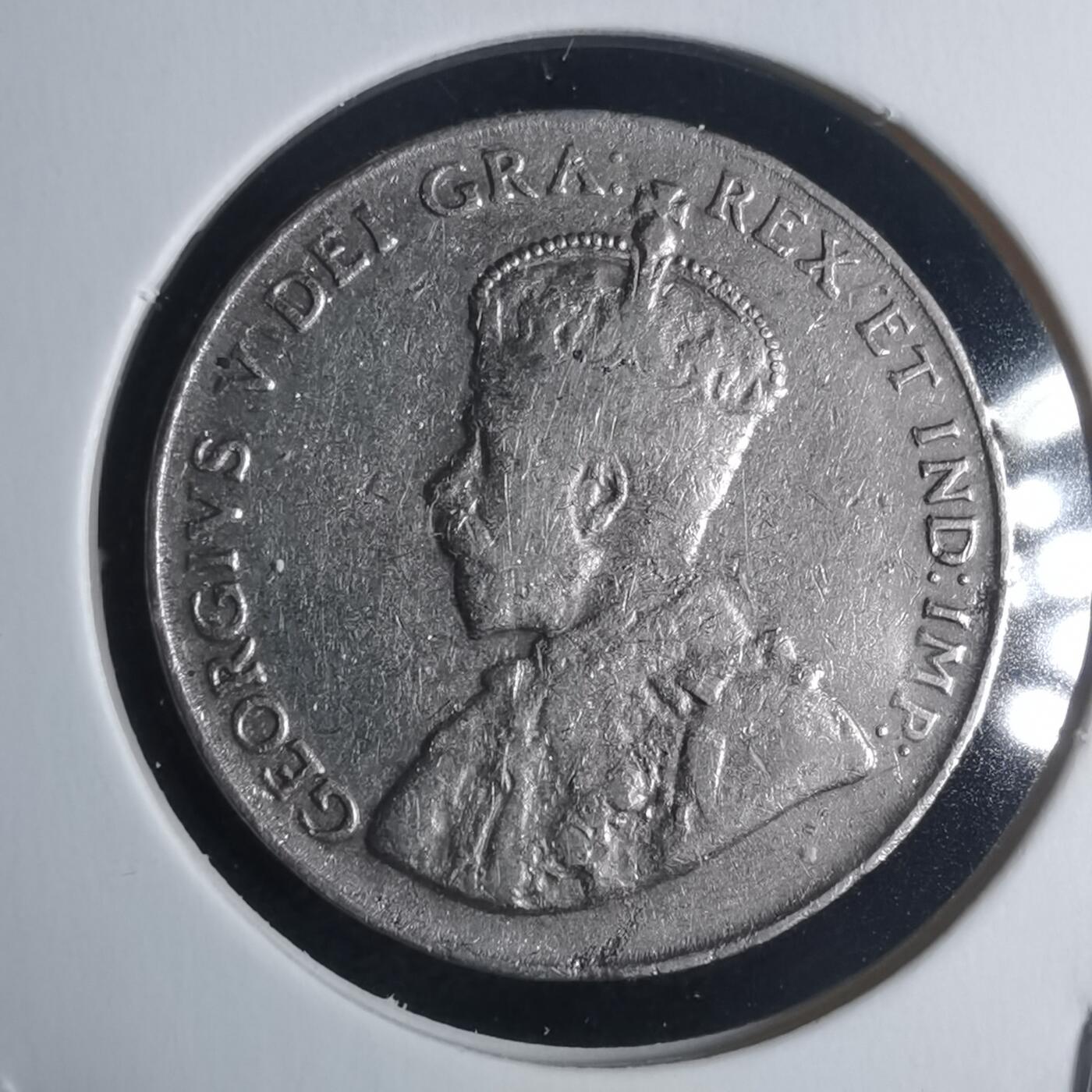 沼泽如烟--第946场