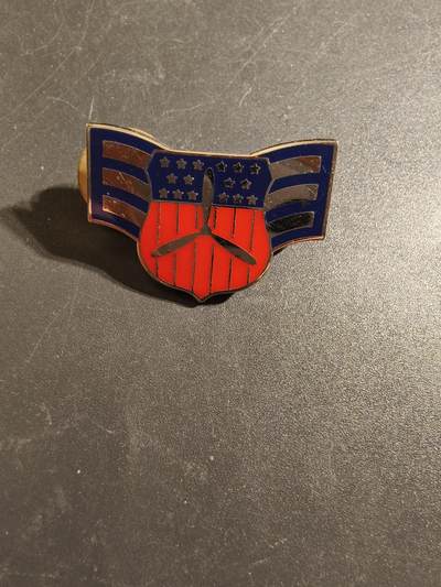 老王徽章第172期 - 美国闵行巡逻队空军一等学员金属军衔    