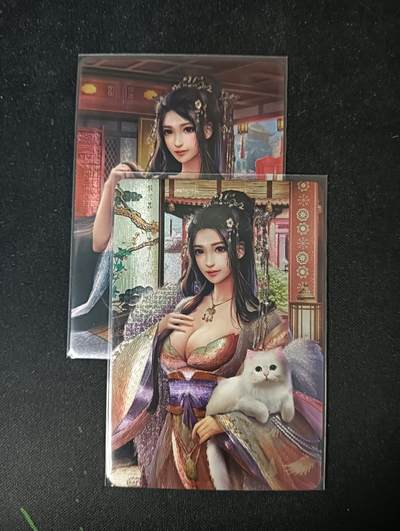 花开卡拍第53期（12月28号周日截拍，品控勿拍!!!拍品不寄存，运费5元，自制卡难免瑕疵，可能存在轻微撞角爆边等出厂瑕疵，品控介意勿拍！） - 宁缺卡牌  早期赵合德2渐变粗闪