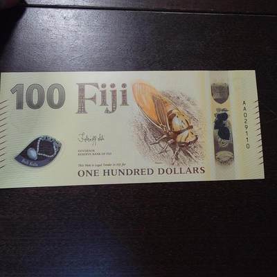 世界钱币～微拍第221期暨2025年第61期  最新货品（群里先挑剩）选购 - 2025年斐济100元 塑料钞全新绝品无3457 尾号110