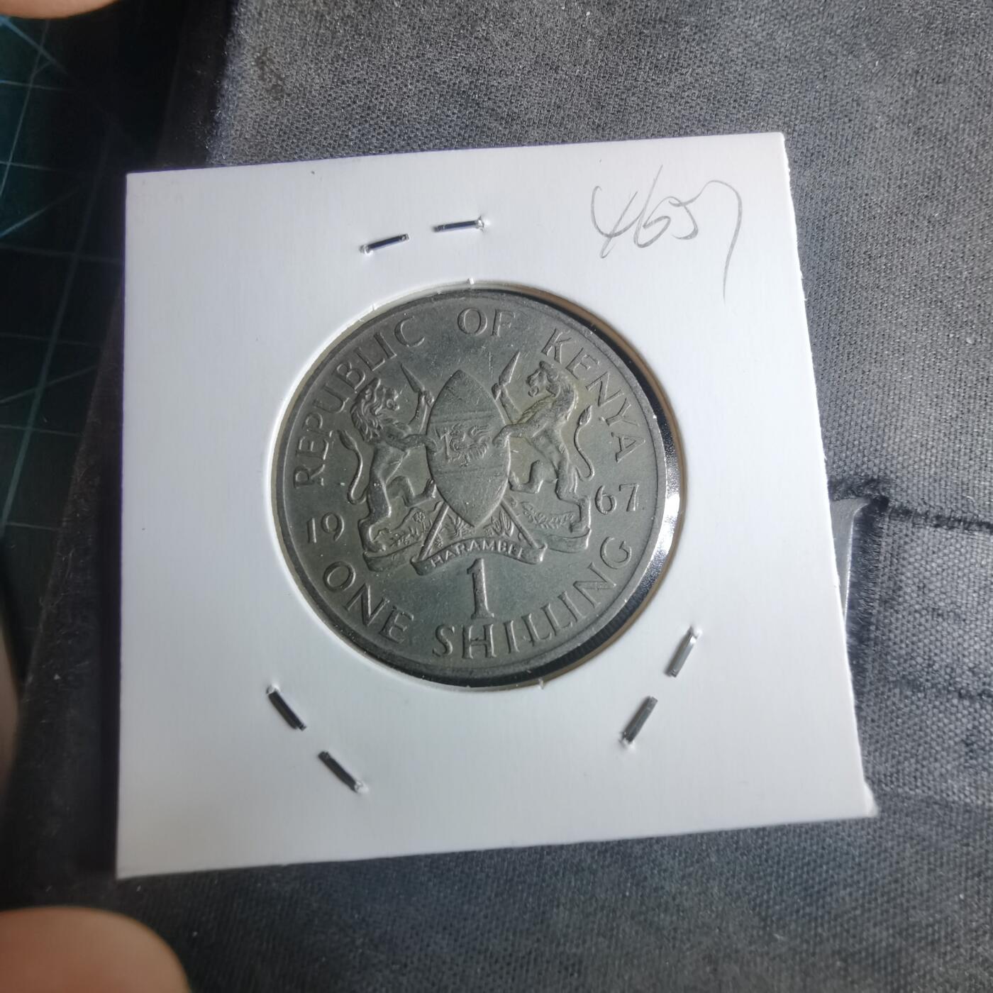 沼泽如烟--第946场