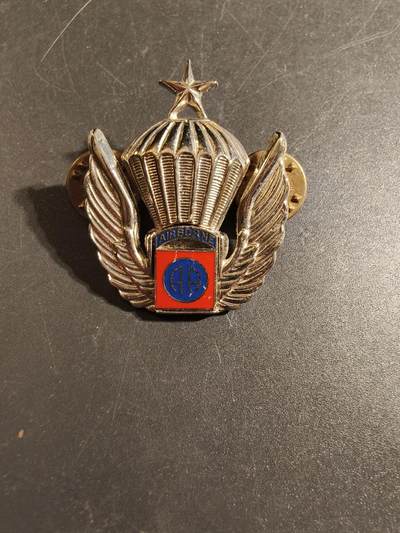 老王徽章第172期 - 美国第82空降师伞降证章   中级