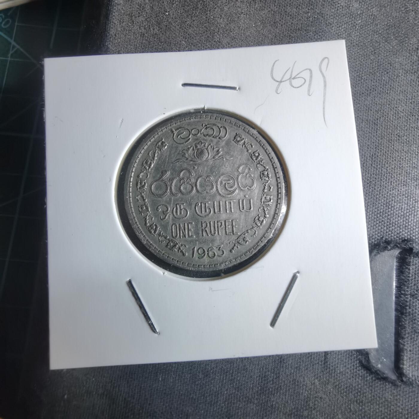 沼泽如烟--第946场