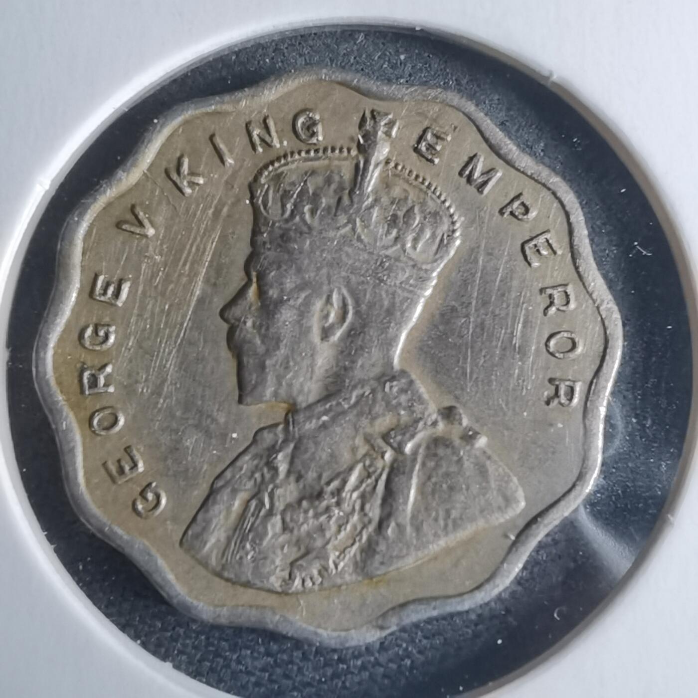 沼泽如烟--第946场